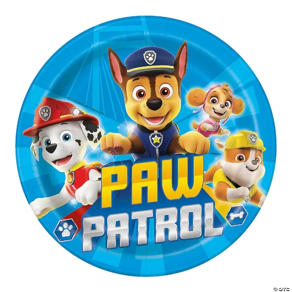 PAW PATROL Birthday Bundle NWT